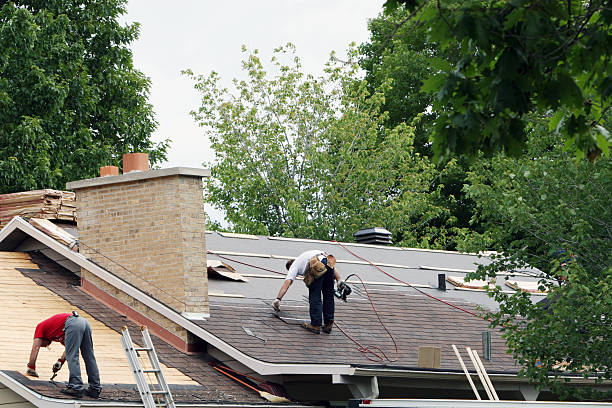 Best Roof Moss and Algae Removal  in Lafayette, CA